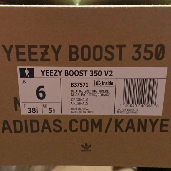 Yeezy boost 350 v2